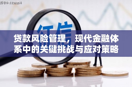 大邑贷款风险管理，现代金融体系中的关键挑战与应对策略